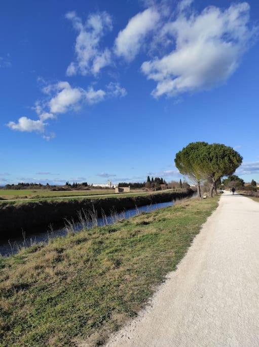 Mobil-Home Dans Un Beau Cadre A 15 Km Des Plages. Lunel  Buitenkant foto
